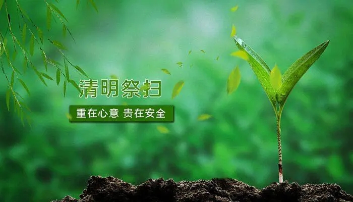 清明時節雨紛紛，又是一年清明時