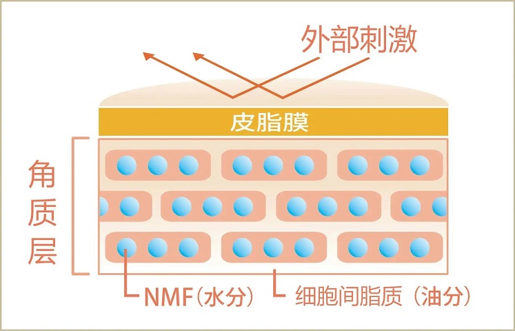 皮膚吸收不好？那要如何正確去角質